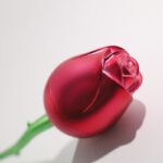 ⁦فرشة ميك اب لدمج الكنتور والكونسيلر وكريم الاساس شكل وردة⁩ - الصورة ⁦8⁩